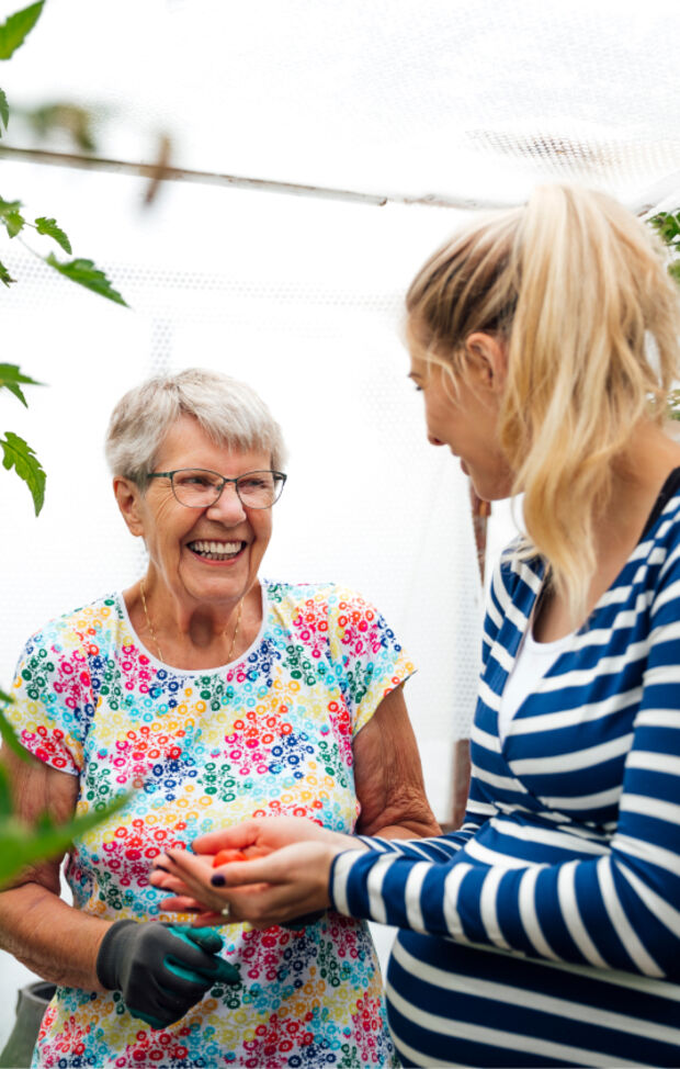 Femme senior souriante en train de jardiner Femme senior souriante en train de jardiner